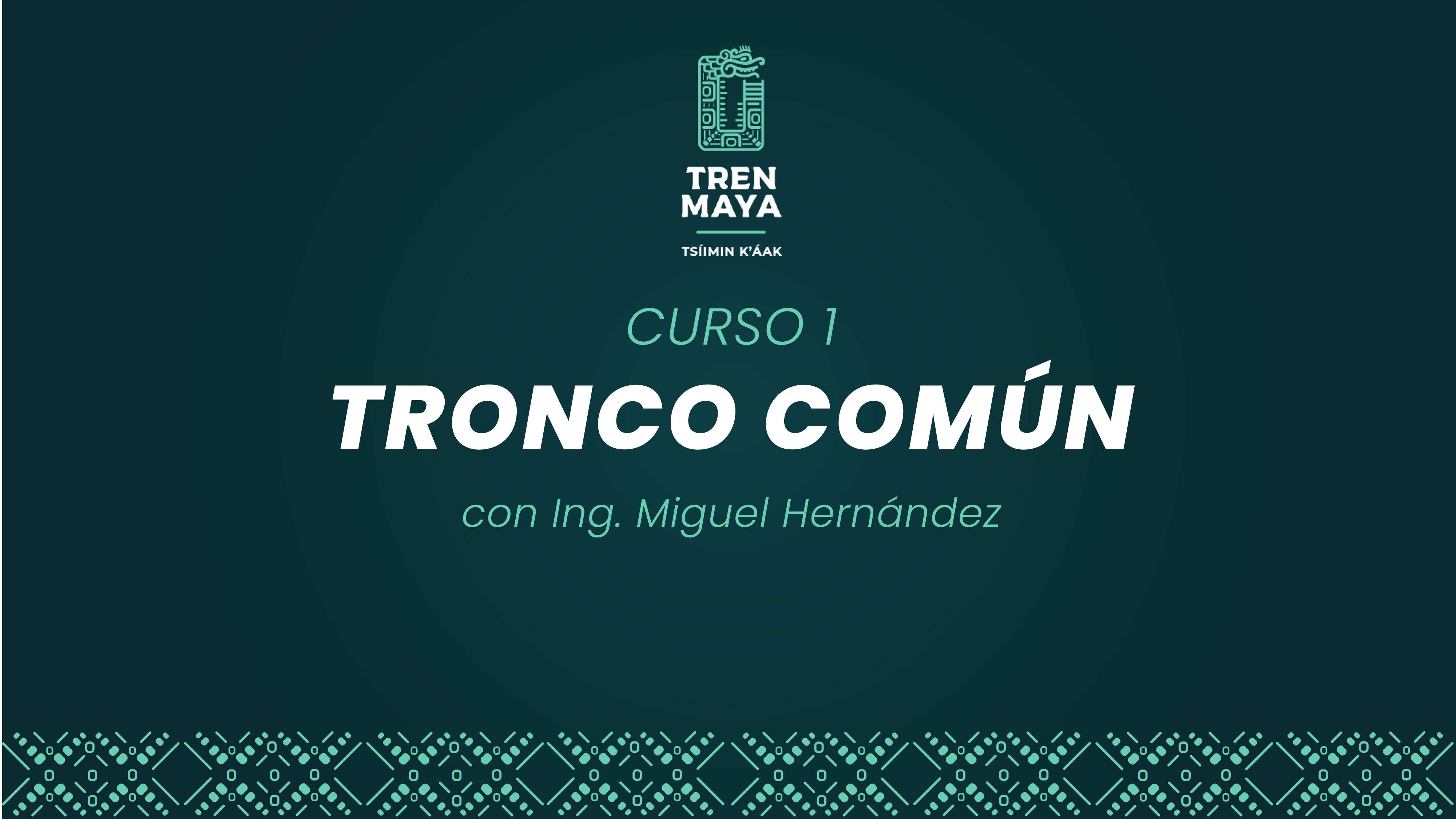 Tronco común
